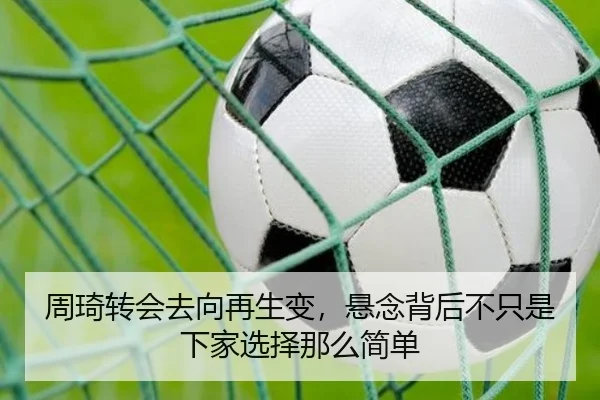 周琦转会去向再生变，悬念背后不只是下家选择那么简单 | kaiyun